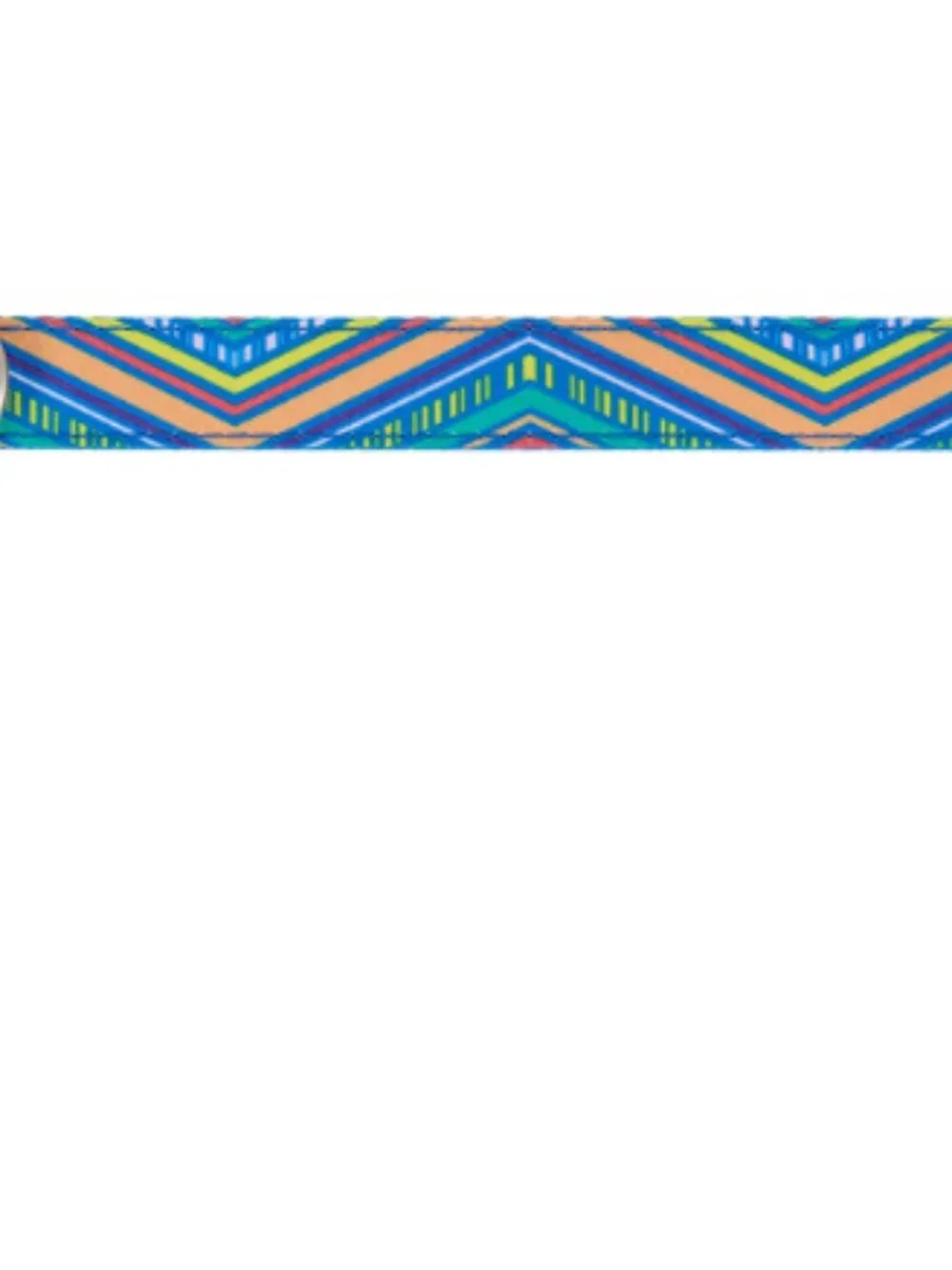 Top Paw® Retro Striped Dog Collar